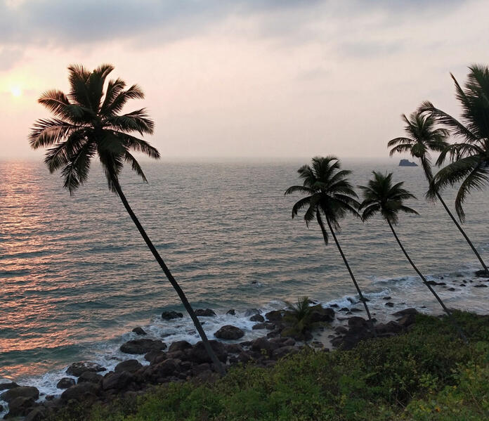 Click here for Sweet Earth Goa Guide Cabo de Rama, South Goa. Palm trees overlooking a rocky shoreline and sunset ocean views.