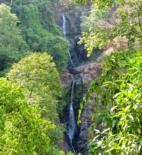 Click here for Sweet Earth Goa Guide Savri waterfall in South Goa. Tall waterfall cascading through a lush forested hillside.