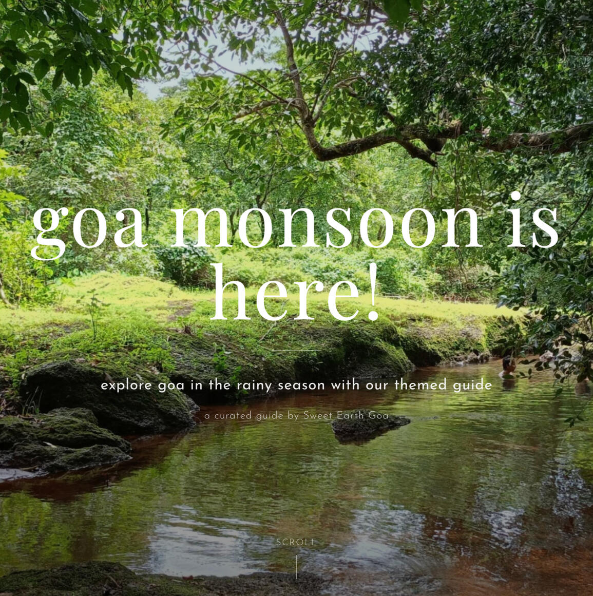 Our guide to Goa monsoon Forest stream and lush greenery during Goa's monsoon season.