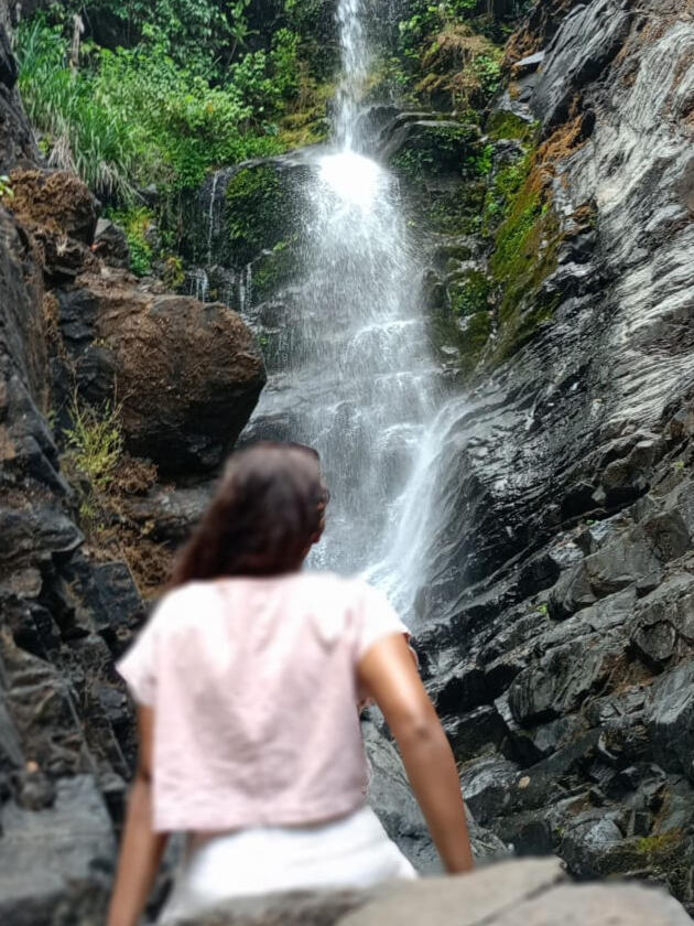 about us Savri waterfall in South Goa. Waterfall cascading over rocky cliffs surrounded by lush forest.
