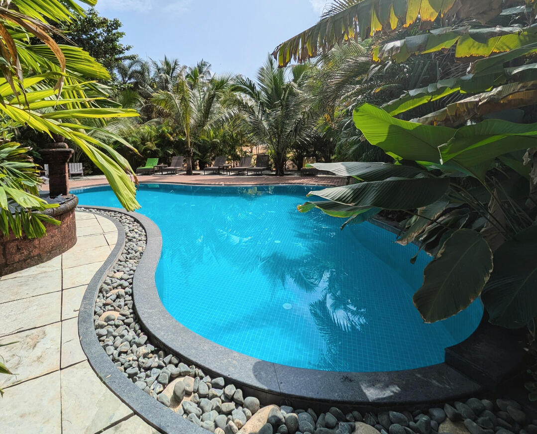 Tropical pool - 2 minute walk Tropical pool - 2 minute walk The pool is like an oasis with sun beds, hidden behind lots of green. A winding path on family property takes you in 2 minutes to the pool.